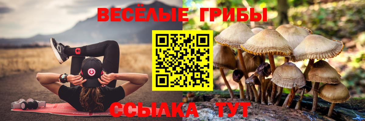 Ефремов  Псилоцибиновые грибы ЛСД  Вход с VPN  Галлюциногенные грибы MAGIC MUSHROOMS 